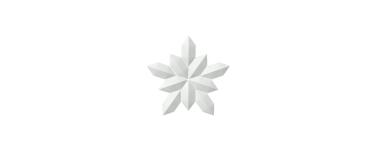 BOW